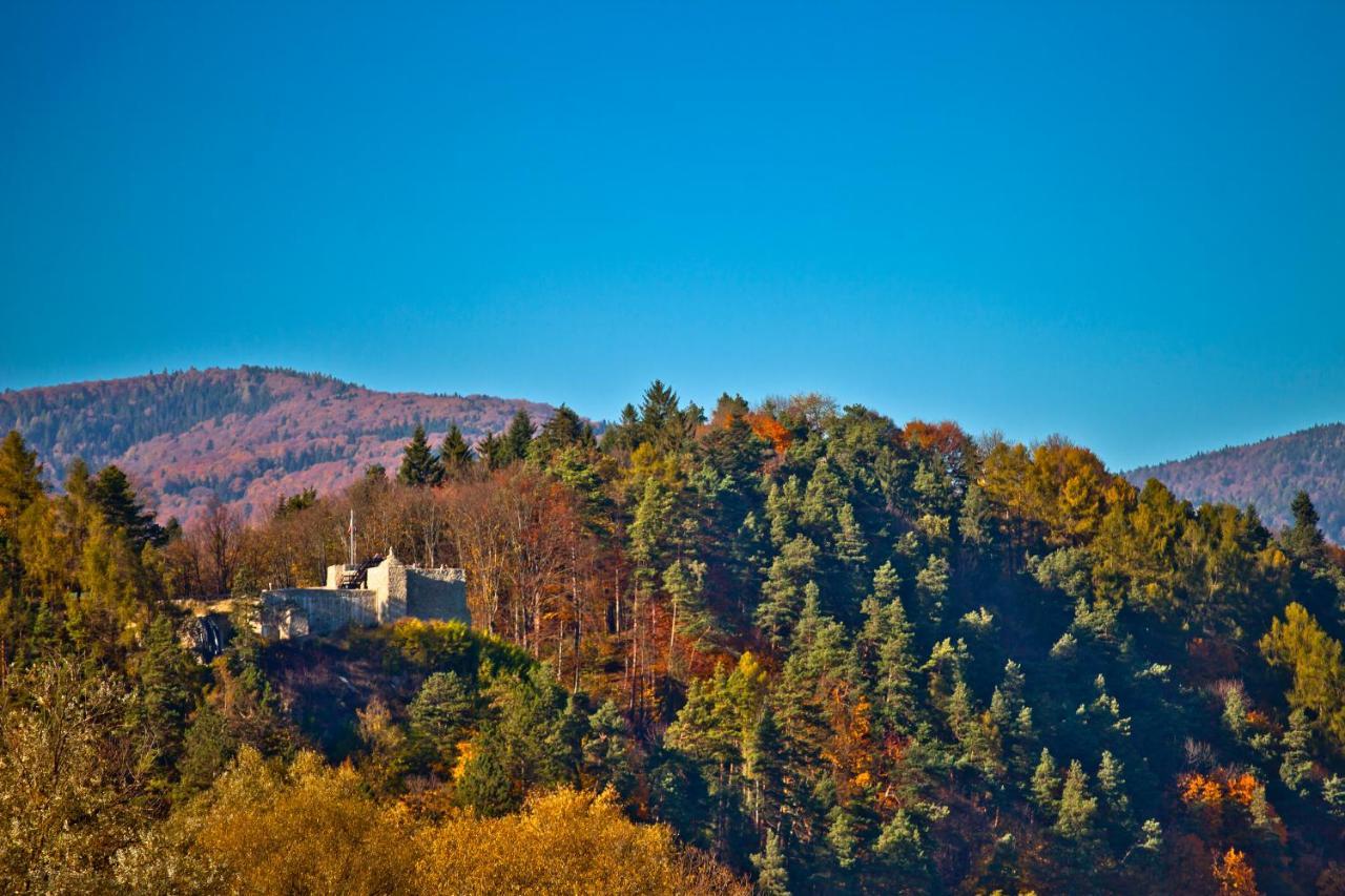 Pensjonat Klimek Muszyna Exterior foto